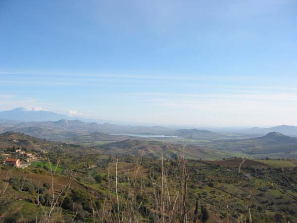 Immagine 045
